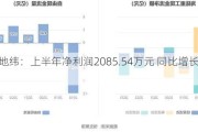 山大地纬：上半年净利润2085.54万元 同比增长3.23%