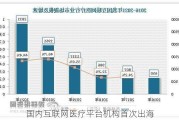 国内互联网医疗平台机构首次出海