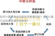 如何计算炒黄金的盈利并管理风险？这种计算方法有哪些潜在的挑战？