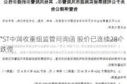 *ST中润收重组监管问询函 股价已连续28个跌停