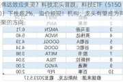 英伟达效应失灵？科技龙头普跌，科技ETF（515000）下挫超2%，溢价频现！机构：龙头有望成为共识凝聚的方向