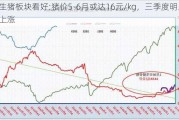 生猪板块看好:猪价5-6月或达16元/kg，三季度明显上涨