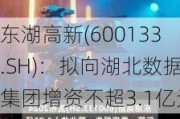 东湖高新(600133.SH)：拟向湖北数据集团增资不超3.1亿元