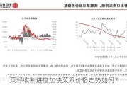 菜籽收割进度加快菜系价格走势如何？