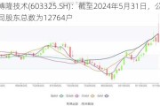 博隆技术(603325.SH)：截至2024年5月31日，公司股东总数为12764户