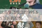 比高集团授出约995.65万份购股权