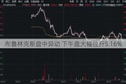 布鲁林克斯盘中异动 下午盘大幅拉升5.16%