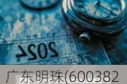 广东明珠(600382.SH)：累计耗资3.09亿元回购9.09%股份