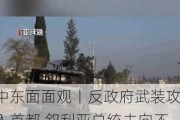 中东面面观丨反政府武装攻入首都 叙利亚总统去向不明 土耳其成战事最大“赢家”