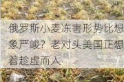 俄罗斯小麦冻害形势比想象严峻？老对头美国正想着趁虚而入