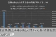 建业集团上半年完成交付3.7万套 销售金额近130亿元