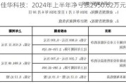 佳华科技：2024年上半年净亏损2950.62万元