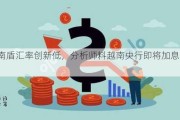 越南盾汇率创新低，分析师料越南央行即将加息50bp