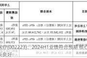 鱼跃医疗(002223)：2024H1业绩符合预期 核心产品增长良好