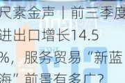 尺素金声丨前三季度进出口增长14.5%，服务贸易“新蓝海”前景有多广？