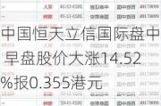 中国恒天立信国际盘中异动 早盘股价大涨14.52%报0.355港元