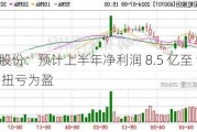 彩虹股份：预计上半年净利润 8.5 亿至 9.5 亿，扭亏为盈