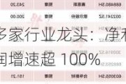 多家行业龙头：净利润增速超 100%