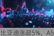 比亚迪涨超5%，A50ETF华宝净申购突破2600万：市场风格转向大盘股