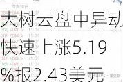 大树云盘中异动 快速上涨5.19%报2.43美元