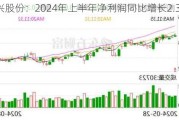 南兴股份：2024年上半年净利润同比增长2.36%