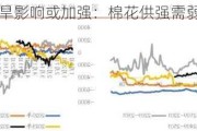 美棉产区干旱影响或加强：棉花供强需弱，低位震荡