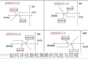 如何评估期权策略的风险与回报