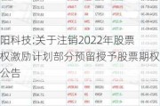 朝阳科技:关于注销2022年股票期权激励计划部分预留授予股票期权的公告