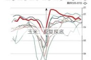 玉米：反复探底