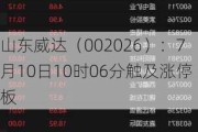 山东威达（002026）：7月10日10时06分触及涨停板
