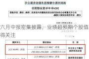 六月中报密集披露，业绩超预期个股值得关注