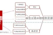 特定交易所期权的交易机制