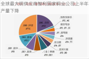 全球最大铜供应商智利国家铜业公司上半年产量下降