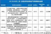 快讯：丁二烯橡胶（BR）主力合约日内涨超9%