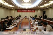 狮头股份：6月14日召开董事会会议