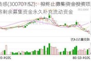 森霸传感(300701.SZ)：拟终止募集资金投资项目并将剩余募集资金永久补充流动资金