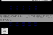 返利科技(600228.SH)：上半年净利预盈225万元到335万元