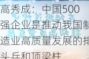 高秀成：中国500强企业是推动我国制造业高质量发展的排头兵和顶梁柱