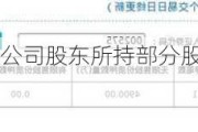 群兴玩具:关于公司股东所持部分股份被强制执行的进展公告