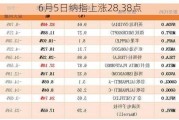 6月5日纳指上涨28.38点