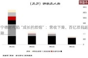 宁德时代陷“成长的烦恼”：营收下滑、百亿项目延期……