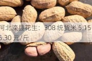 河北滦县花生：308 统货米 5.15-5.30 元/斤