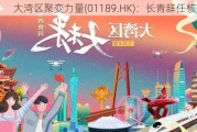 大湾区聚变力量(01189.HK)：长青辞任核数师