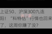 上证50、沪深300九连阳！“科特估”行情也回来了，这周你赚了没？