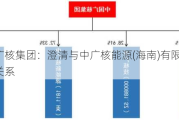 中国广核集团：澄清与中广核能源(海南)有限公司无股权关系