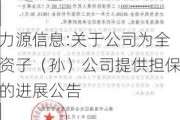 力源信息:关于公司为全资子（孙）公司提供担保的进展公告