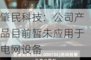 肇民科技：公司产品目前暂未应用于电网设备