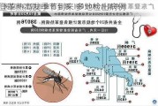 登革热高发季节到来 多地检出病例