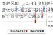 泰胜风能：2024年度相关经营计划不构成公司对2024年度经营业绩的实质承诺