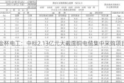 ***电工：中标2.13亿元大截面铜电缆集中***购项目